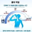 오아시스약국 이미지