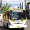 다솜초등학교 이미지