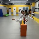 진안바른길태권도 이미지