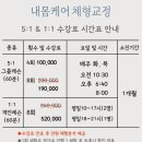 JA바디홀릭