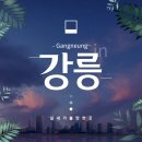 강릉 실내 데이트, 가볼 만한 4곳 알려드림(아르떼 뮤지엄, 하슬라아트월드, 런닝맨, 경포 아쿠아리움)