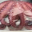 김가네전 이미지