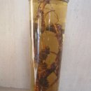 장생식당 이미지