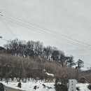 선태농장 | 안성 캠핑장 / 안성 가볼만한곳 안성용설호관광농원