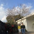 하귤당 | [서귀포 감성숙소 추천]프라이빗한 노천탕 즐겼던 제주 하귤당 내돈내산 후기