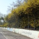 고려유통 이미지