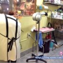 퍼피몽몽 이미지