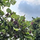 25,9,2.거제시 남파랑길19코스(옥포대첩기념관~옥포항)이순신만나러 가는길 트레킹. 이미지