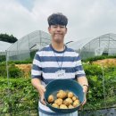 샌드위치 A반 이미지