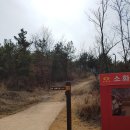 정상파크장 이미지