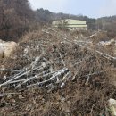 미래환경 | 산업폐기물부터 생활쓰레기까지, 정식 허가업체 미래환경 후기