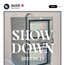 앨리스 티브이데일리