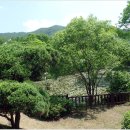 매봉약수 이미지