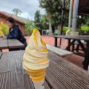 별빛여정펜션 | ​[오키나와 가족여행] 4박 5일간의 기록 : 온이와 함께한 행복한 여정 🏝️(후기글)