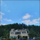 대동맛지도 이미지