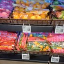 T3밸리 | 쥬얼 창이 공항의 하이라이트, 40m 실내폭포와 갈증 해소 코코넛 워터 후기