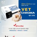 마음 동물병원 이미지