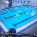 아이나래풀 이미지