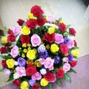 박양희산부인과의원 이미지