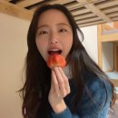 블루미270