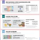 미네르바 그룹과외 | 일간대치동 화상 실시간 수업