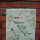 영원초등학교 이미지