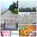 해피투데이 2 | 후보지가 많아야 살아남는 강원도 속초여행 1박2일 가볼만한곳 후기