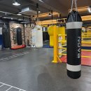 WS복싱클럽 이미지