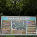덕고개로 | (등산) 전라도 영광 불갑산 연실봉 등산후기(원점회귀)