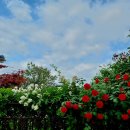 장안문버스정류장 이미지