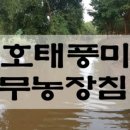 정용농장 이미지