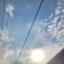 심 당구장 이미지