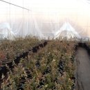 해피팜농장 이미지