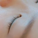 속눈썹씨스터즈 네이버블로그