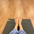 [내돈내산]무브웜(movewarm) 모아모아
