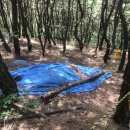 연경동 광해군태실 이미지