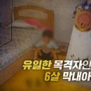 대명비디오 이미지