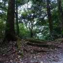 지리산나들이농원 이미지