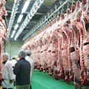 축산물시장(3) 이미지