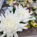 부산추모공원 이미지