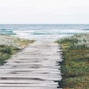 (주)제이시스메디칼 이미지