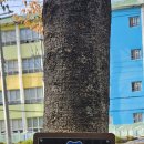 남파랑길 이미지