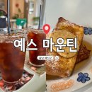 예스예스애견 | 예산 예스마운틴 애견동반 브런치 카페 반려동물 내돈내산 후기