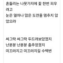 상고대...대 이미지