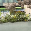 송도그린소아청소년과의원 이미지