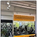 AR 퍼스널 헬스 이미지