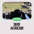 서귀한의원 제주서귀포점 | 제주 서귀다원 비오는날 아이랑 / 한라산 드라이브 주의