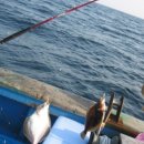 관광 꿈꾸는숲 펜션 이미지