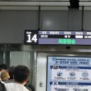 최종윤 | 한라산 등반 가보자고