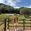 270-2501 | 제로그램; 제로트레일UL 화이트 후기(feat. 트레킹화, 트레킹화추천, 트레킹슈즈)